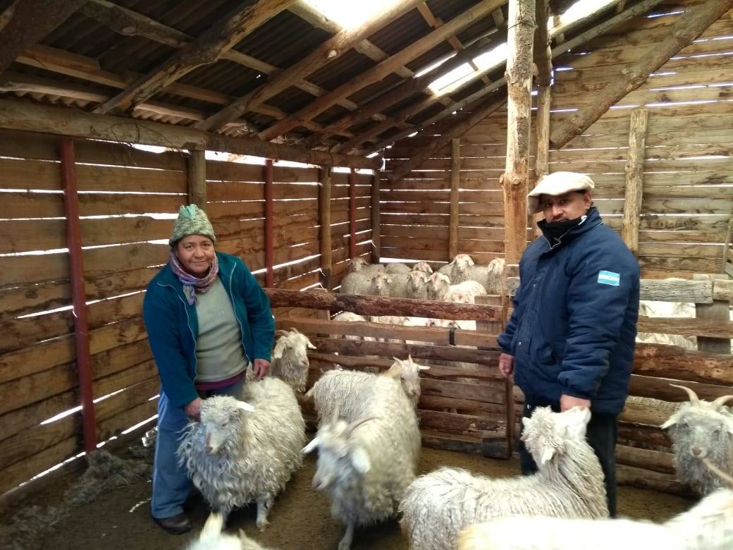 Strategic supplementation