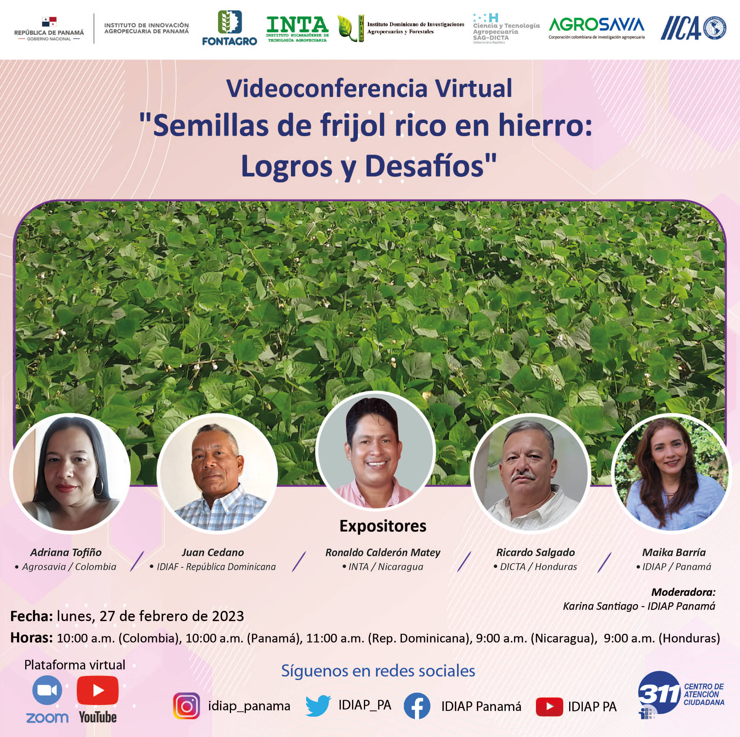 Videoconferencia Virtual "Semillas de frijol rico en hierro: logros y desafíos"