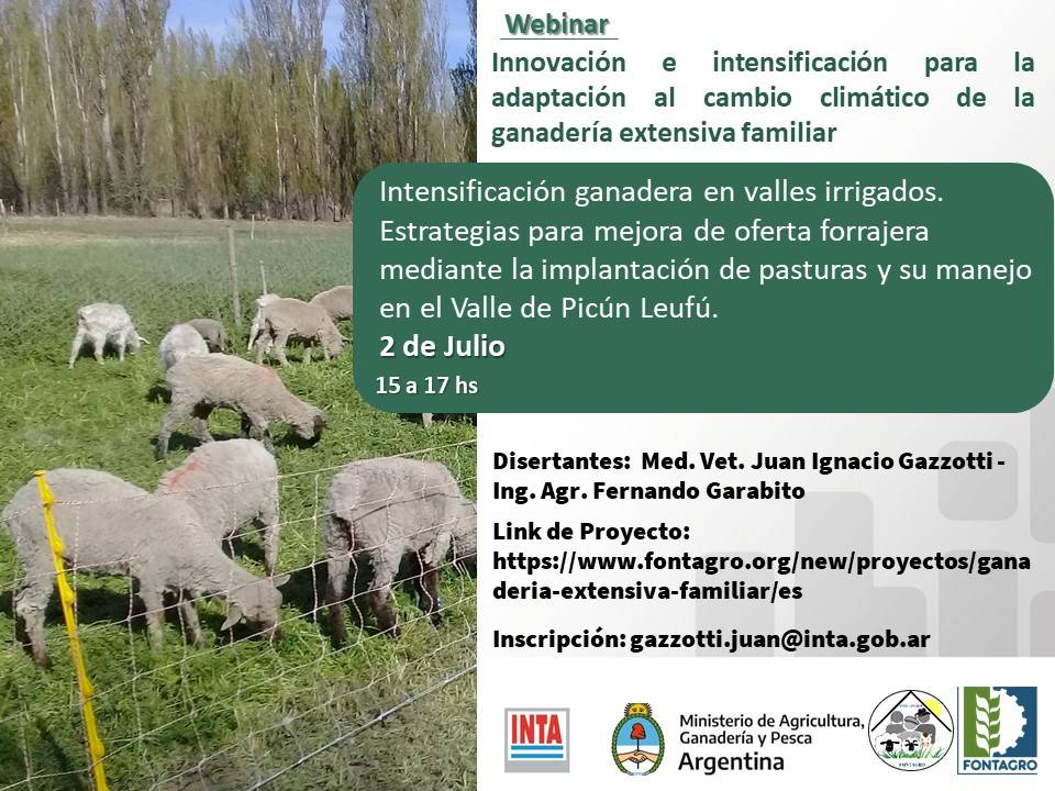 Intensificación ganadera en valles irrigados.