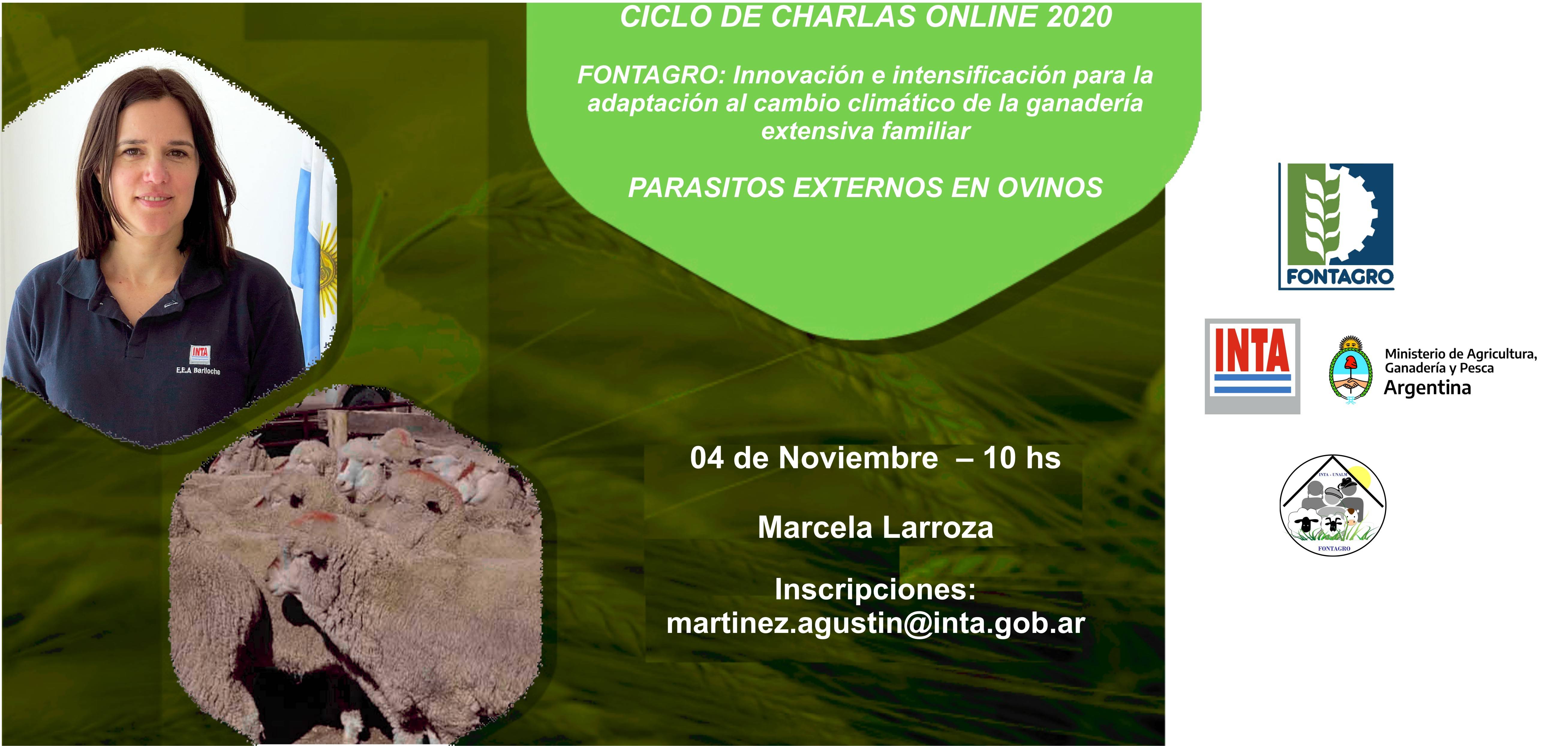 Charla online: Parásitos externos en ovinos