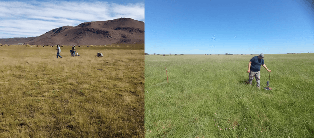 Simplifying Forage Biomass Estimation Using Satellite Data