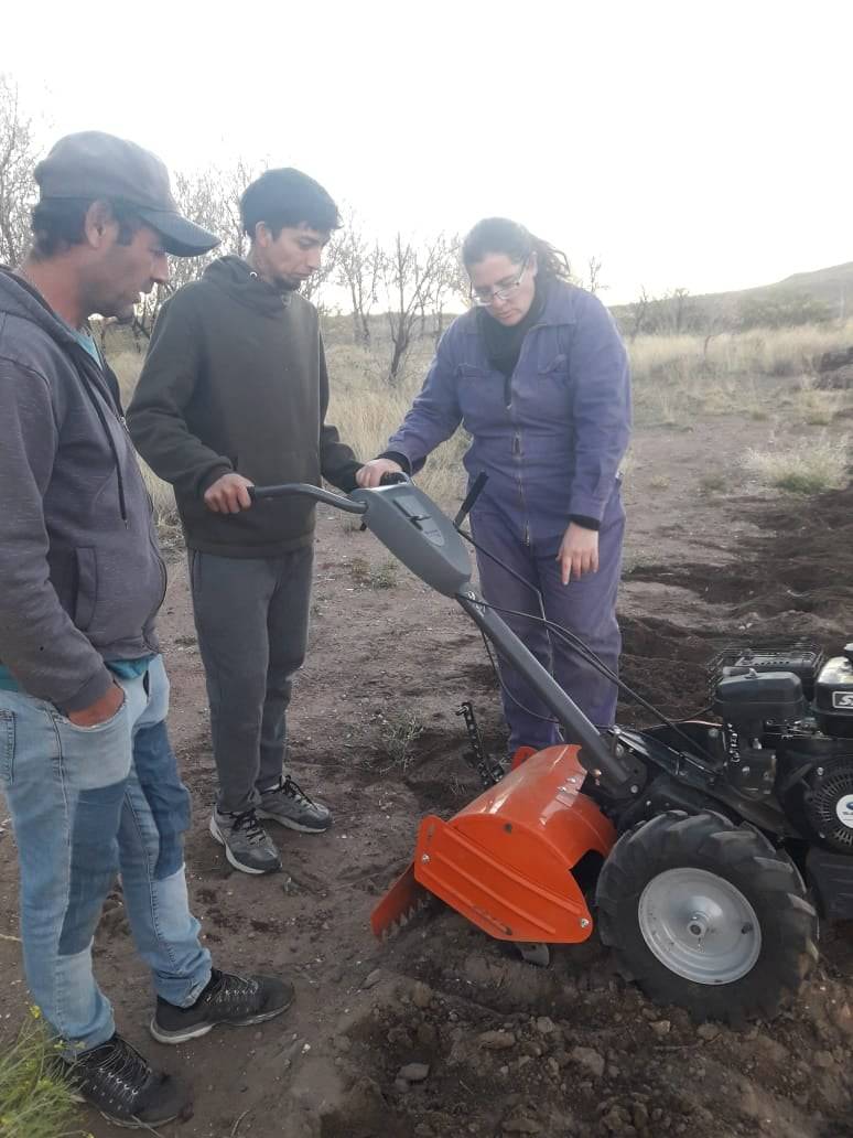 Use of motor cultivator for incorporation of organic fertilizers