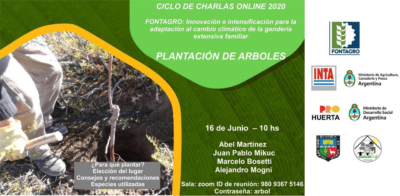 Webinar: Tree planting