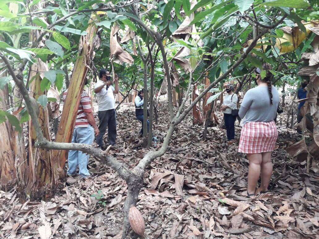 Workshop: Importancia de las regulaciones de la Unión Europea en seguridad alimentaria para cadmio, arsénico, mercurio y plomo y los bioprocesos disponibles,