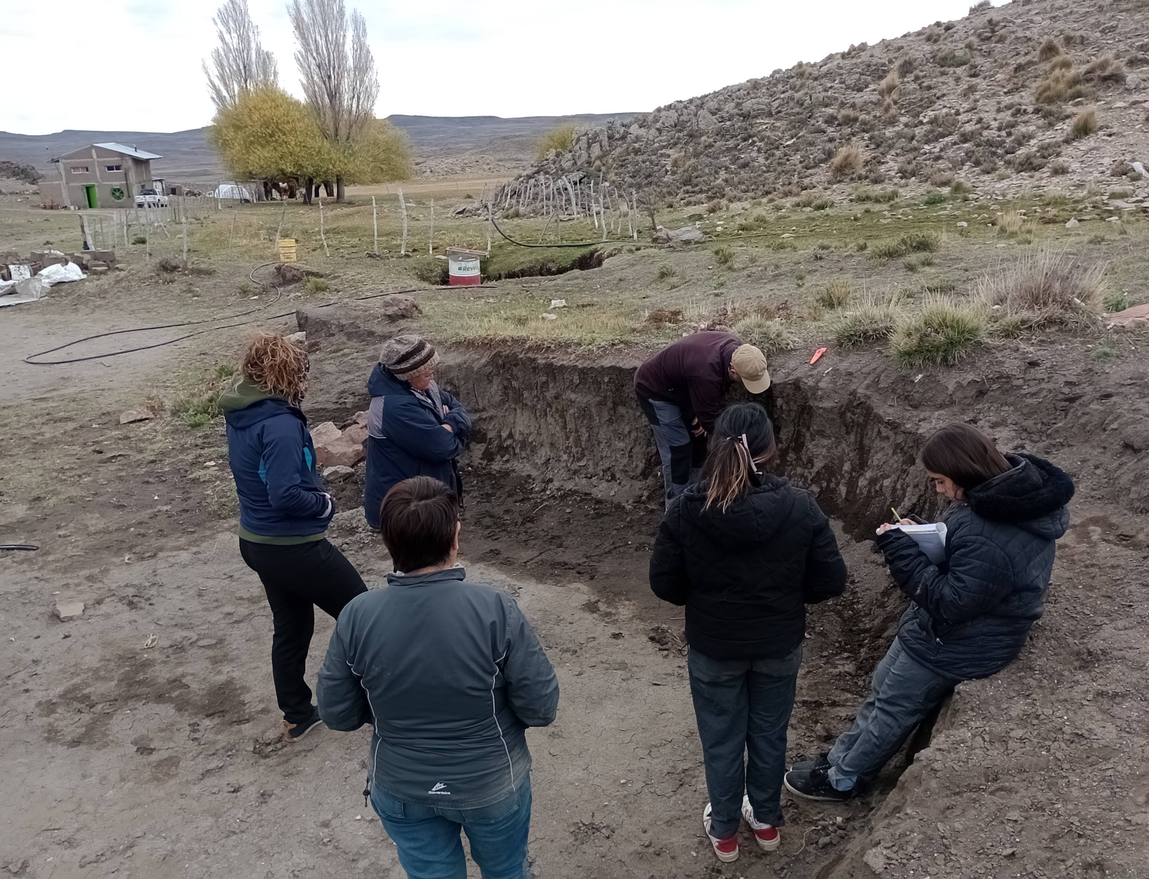 Activities in the Nehuen Co Community: Inter-sowing of mallín and review of small ruminants for service