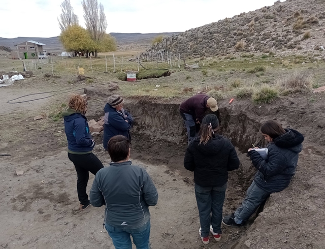 Activities in the Nehuen Co Community: Inter-sowing of mallín and review of small ruminants for service