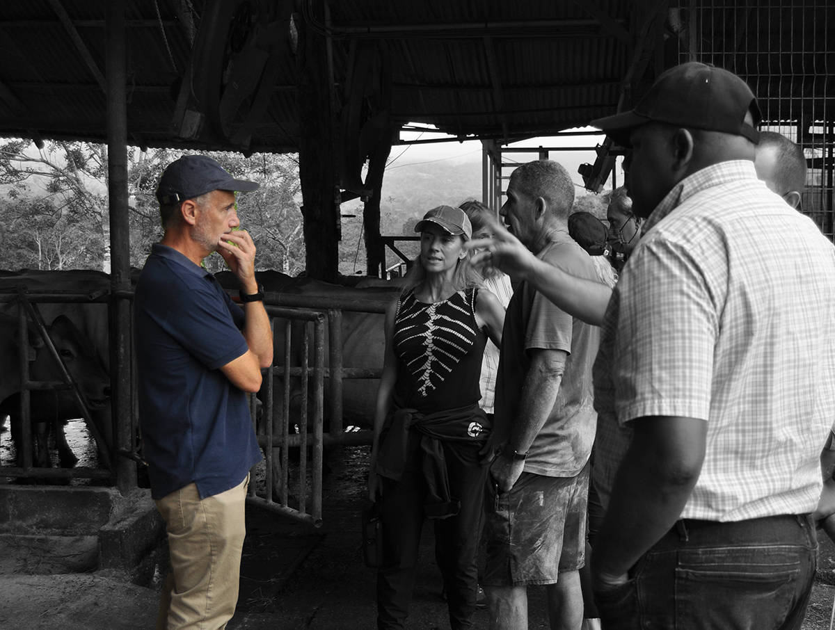 Interviewing our researchers