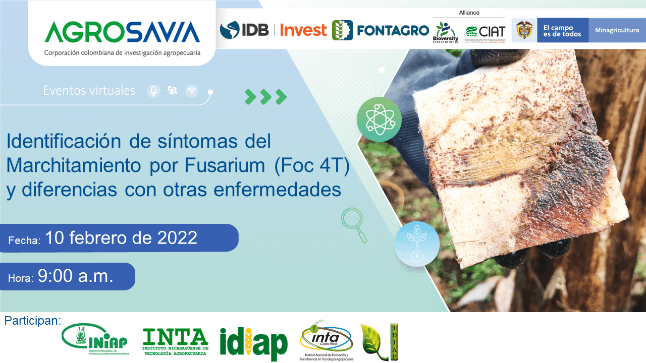 Inicia ciclo de capacitaciones 2022 del Proyecto Foc R4T