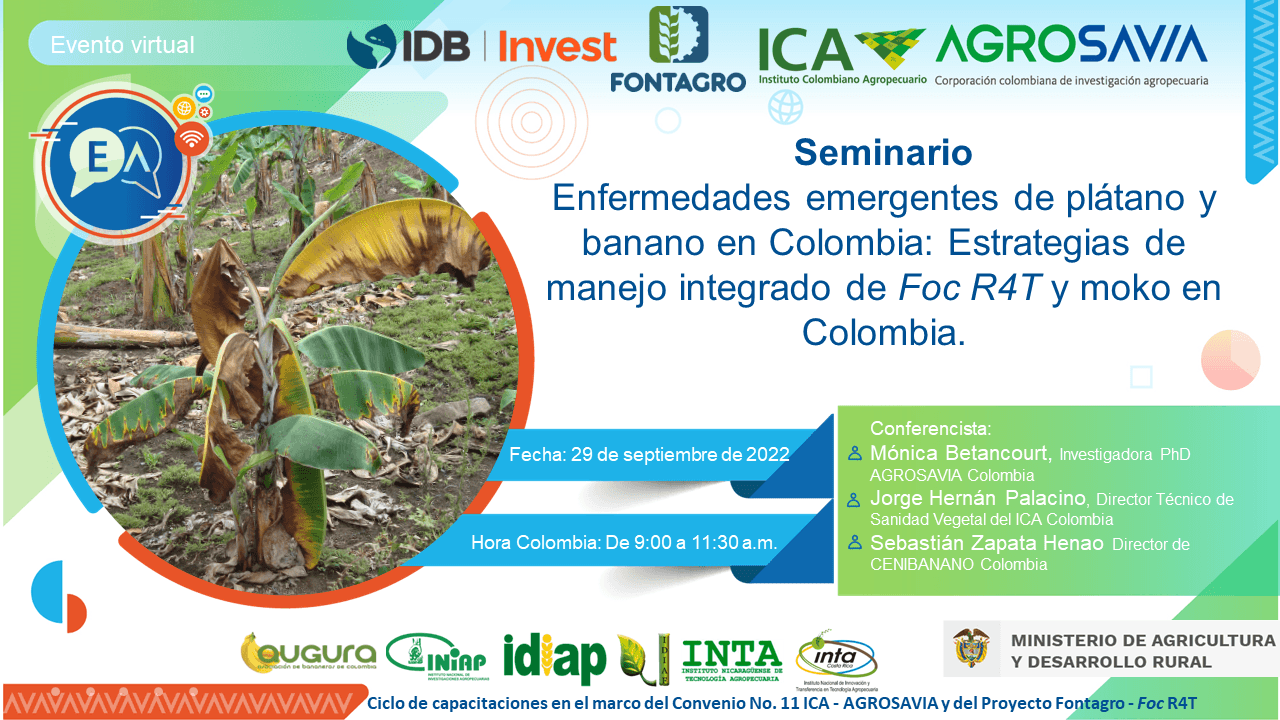 Continúa el ciclo de capacitaciones para la prevención y manejo de Foc R4T