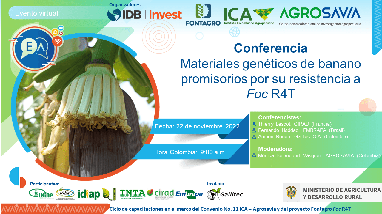 Cierre del ciclo de conferencias virtuales 2022 de Fusarium Raza 4 Tropical (FocR4T)
