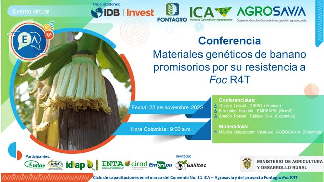 Cierre del ciclo de conferencias virtuales 2022 de Fusarium Raza 4 Tropical (FocR4T)