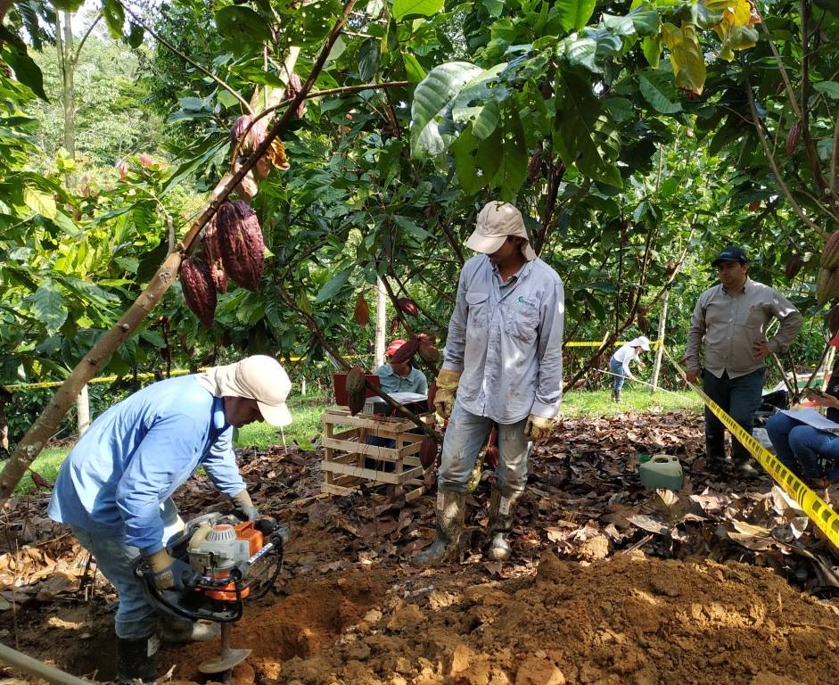 Cadmium bioremediation as an innovative alternative