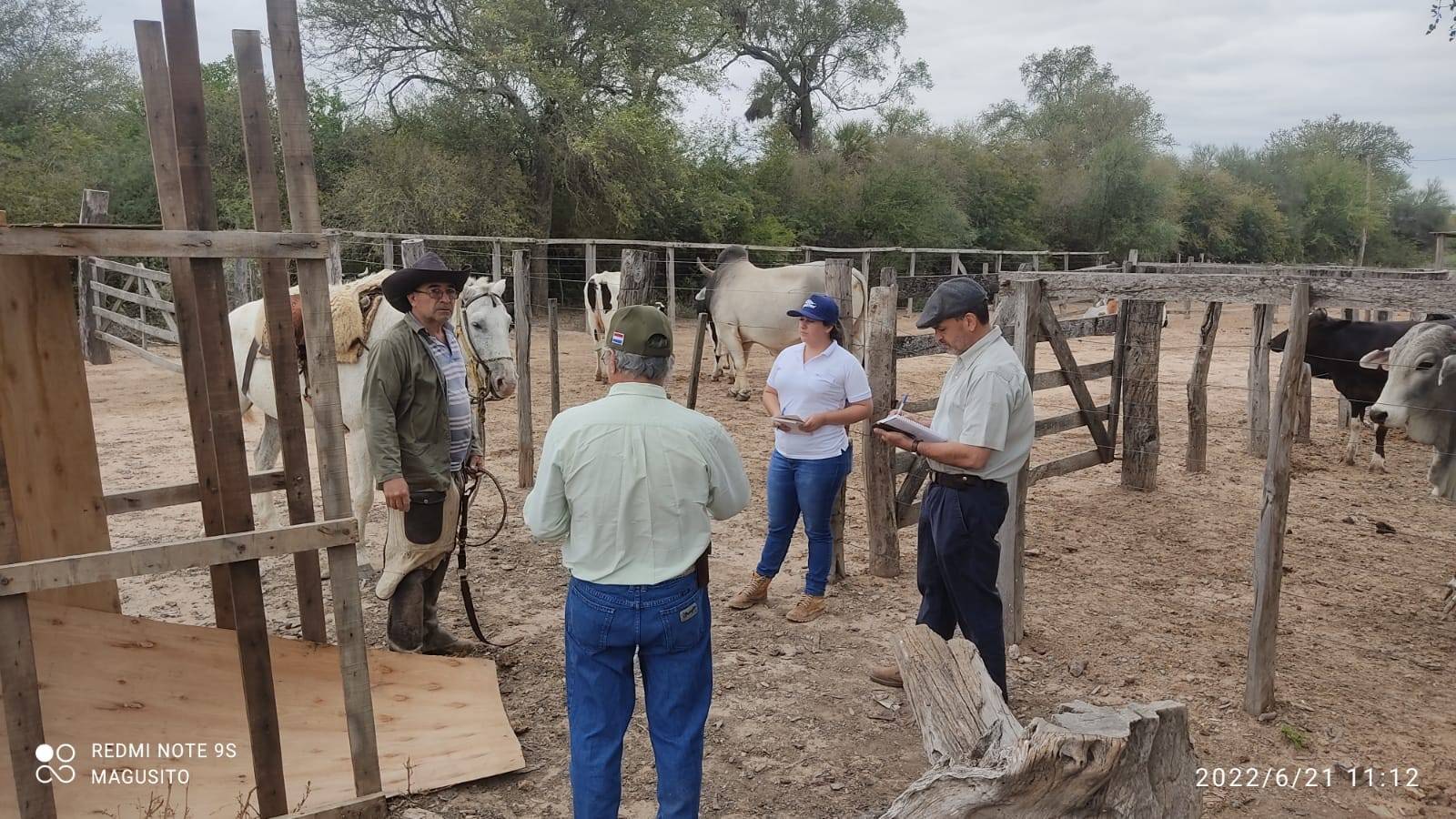 Progress of the Fontagro project