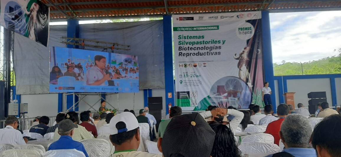 Silvopastoral Systems Training Events Continue: International Congress and Webinar