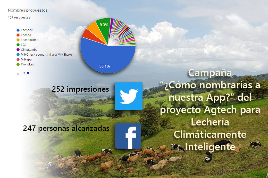 Campaign, How would yo name our App?