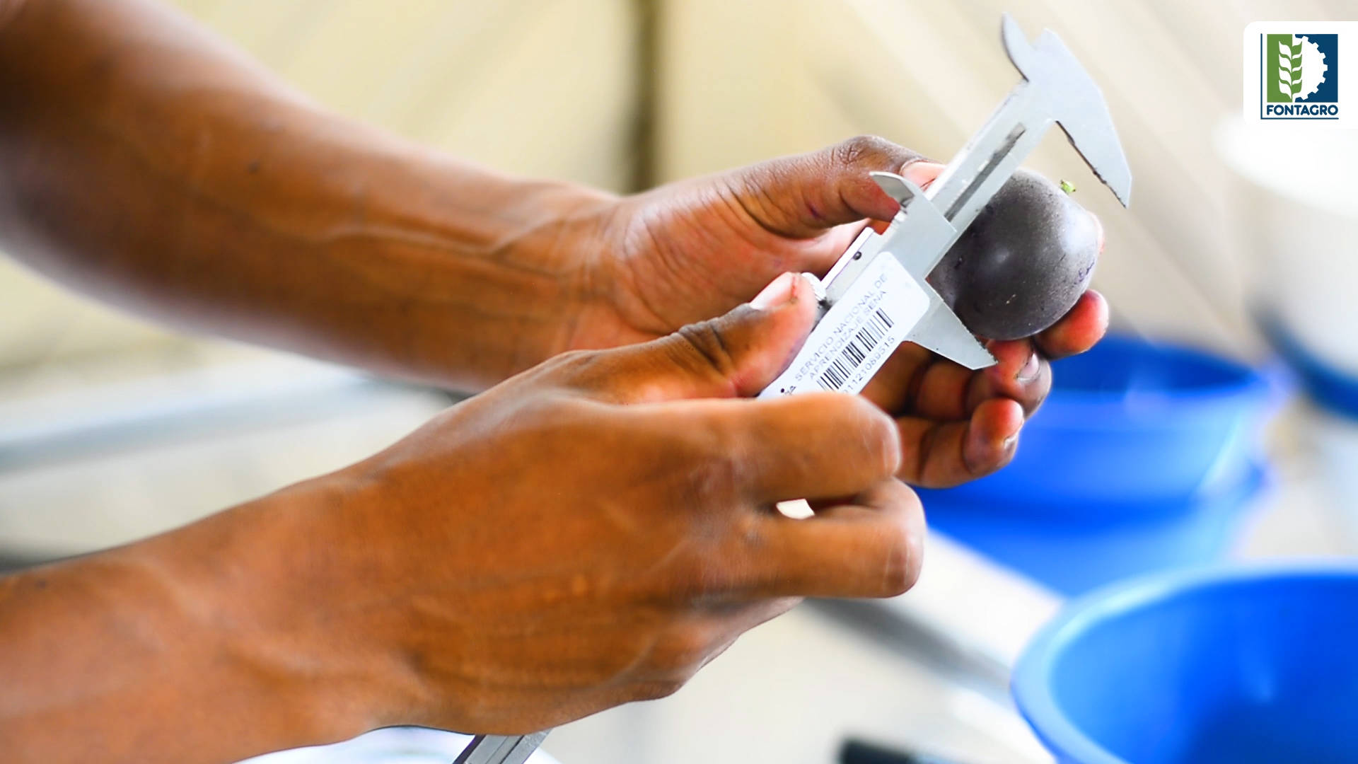 Semana del conocimiento FONTAGRO 2021