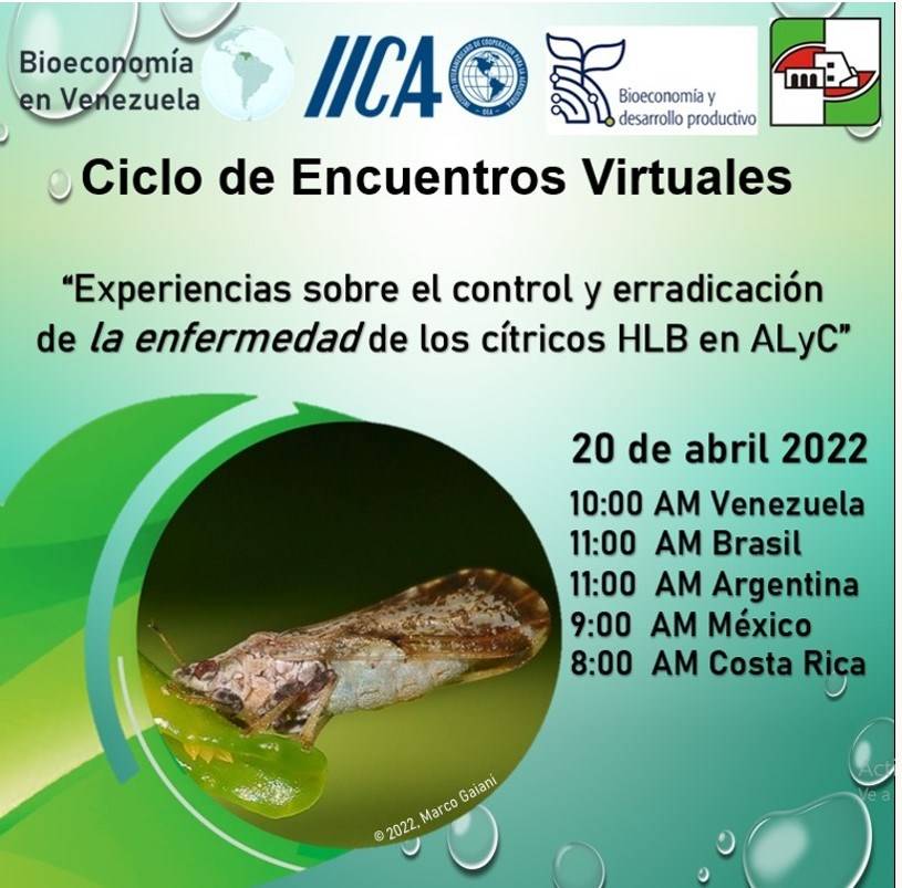 Experiencias sobre control y erradicación del HLB en Latinoamérica y el Caribe