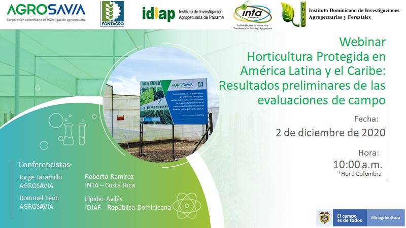 Webinar: presentación resultados preliminares