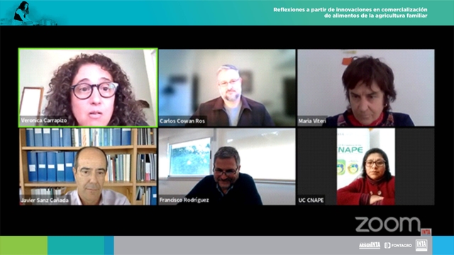 Más de 250 personas participaron del Webinario