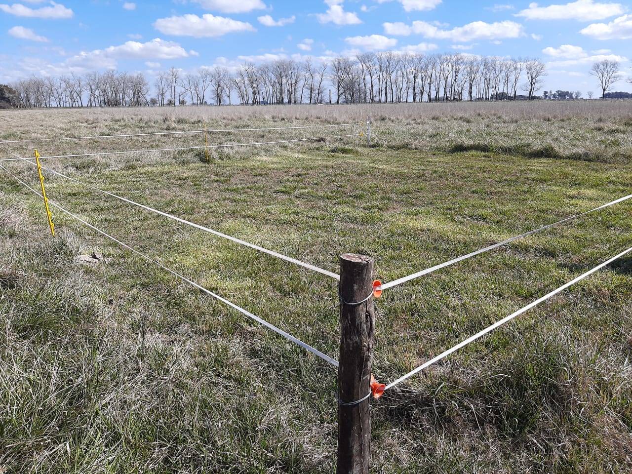 Preparation of lots for sampling associated with biological nitrogen fixation