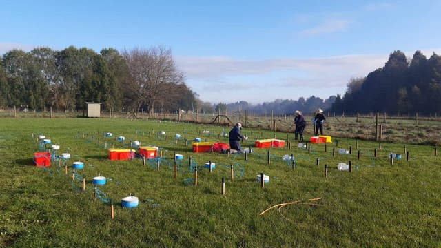 Sampling of N<sub>2</sub>O emissions and NH<sub>3</sub> volatilization in Chile