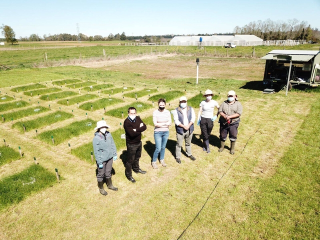 Work carried out by INIA-Chile in Mundo Agropecuario and Diario Lechero