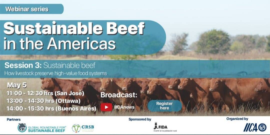 Presentation of the project in IICA's webinar session