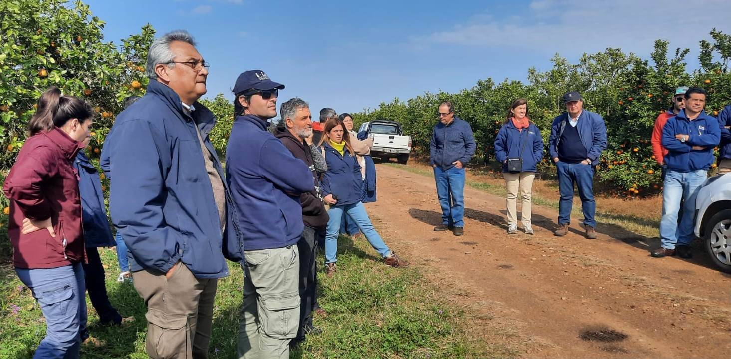 Productores y técnicos uruguayos realizaron una gira por Entre Rios - Argentina