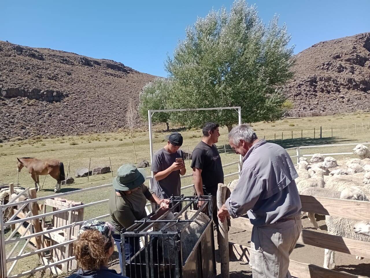 Workshop on Weaning Practices in the Nehuen Co Community