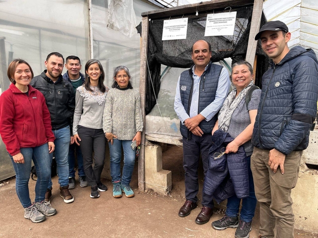 Potato Clone Multiplication Advances in Colombia: A Joint Effort for Climate Resilience