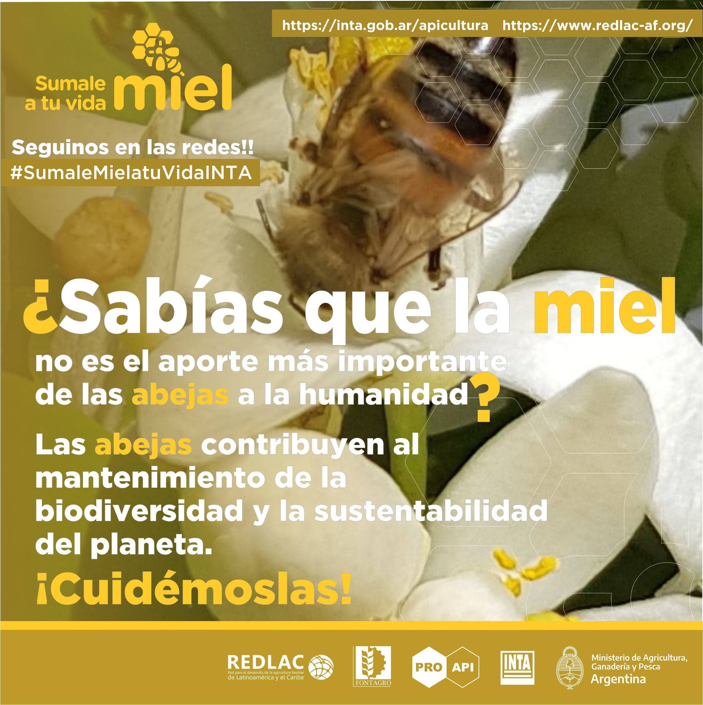 The contribution of pollinators to humanity