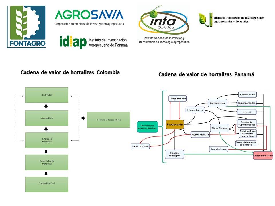 La hortícultura y su cadena de valor en ALC
