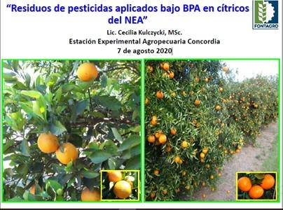 Pesticide residues applied under GAP on NEA citrus
