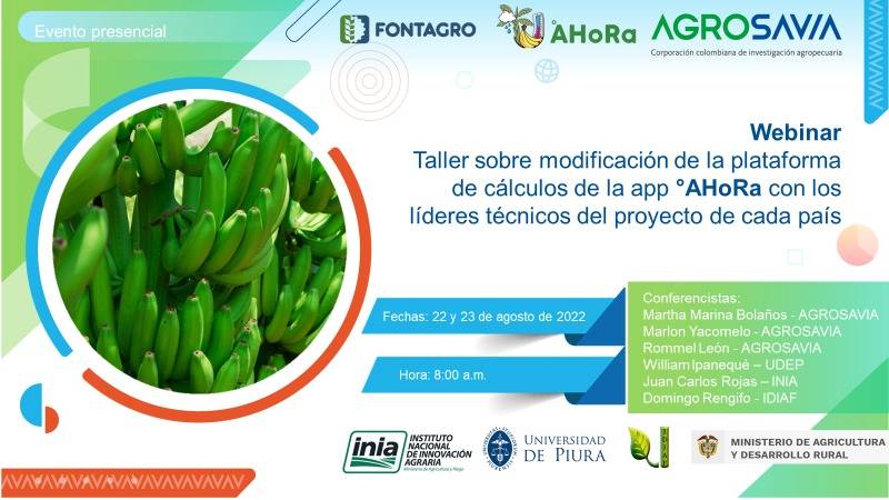 Taller con líderes técnicos y especialistas