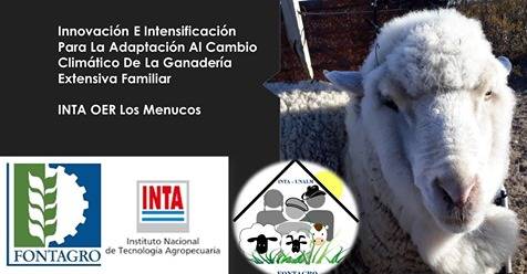 Early pregnancy diagnosis by ultrasonography