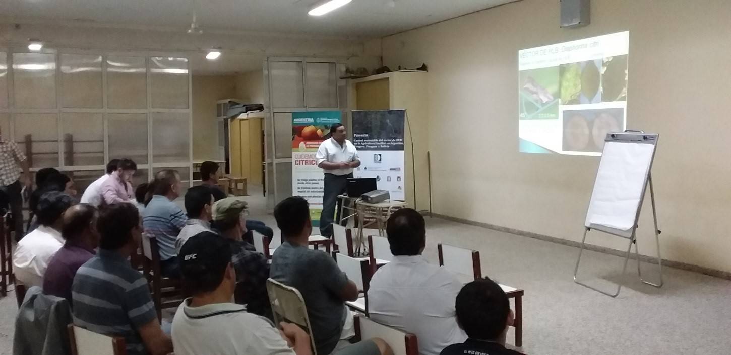 Growers and local institutions choose demonstration lot in Bella Vista, Corrientes province, Argentina