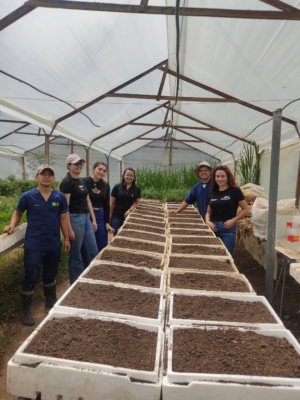 Training: Application of Nanofertilizers in Greenhouse Crops