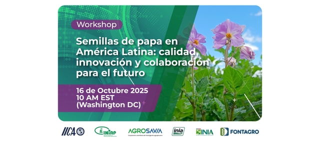 Webinar de FONTAGRO destaca la innovación y colaboración en la producción de Semillas de Papa en ALC