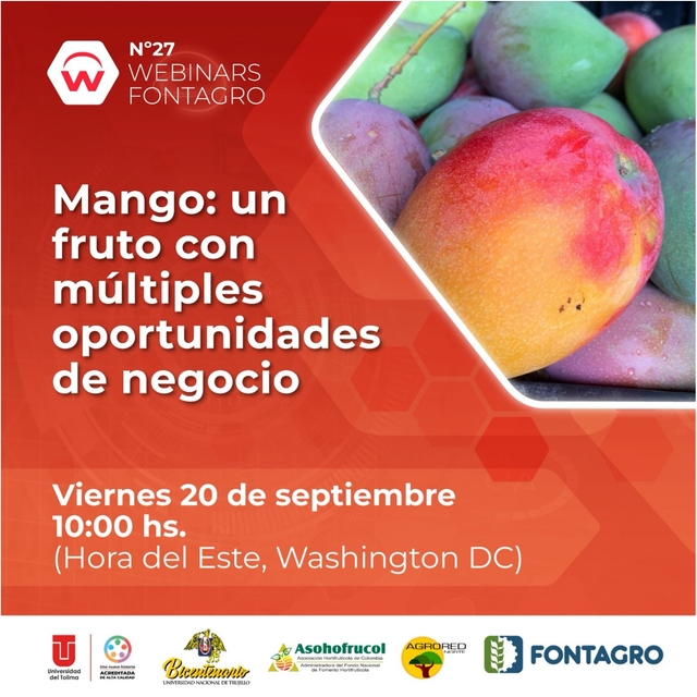 Webinar de FONTAGRO impulsa el aprovechamiento integral del mango