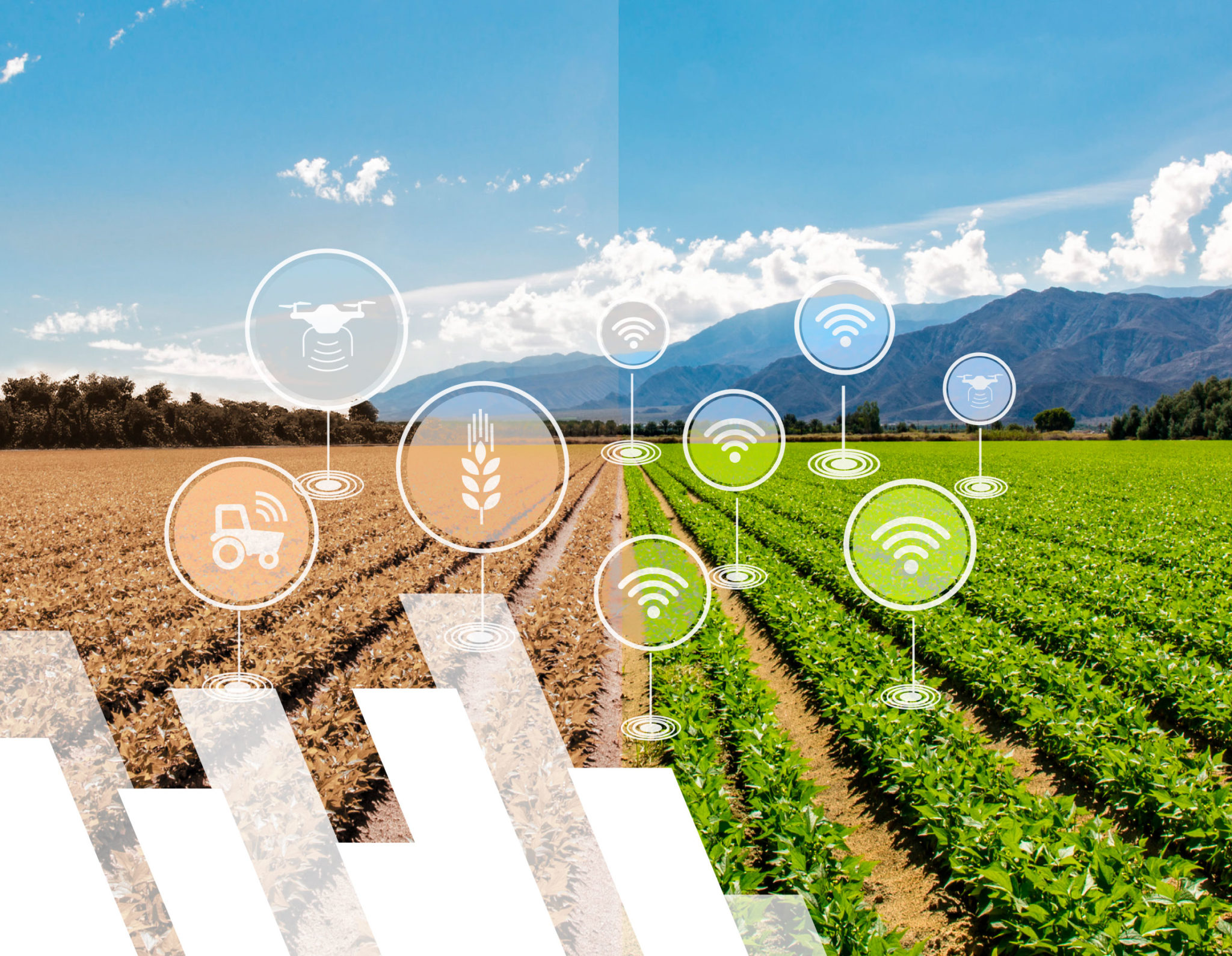 AgriTech Innovation in Central America and the Caribbean