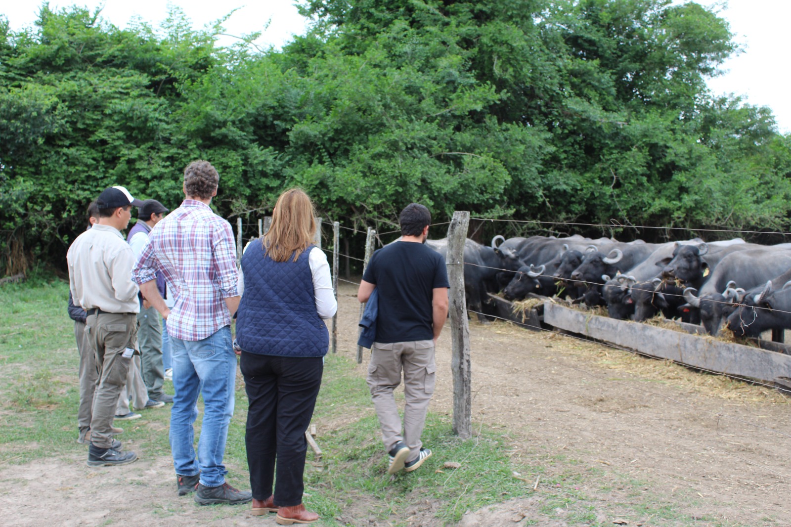 Dialogue and co-innovation in animal welfare are advancing in General Vedia (NEA), Argentina.