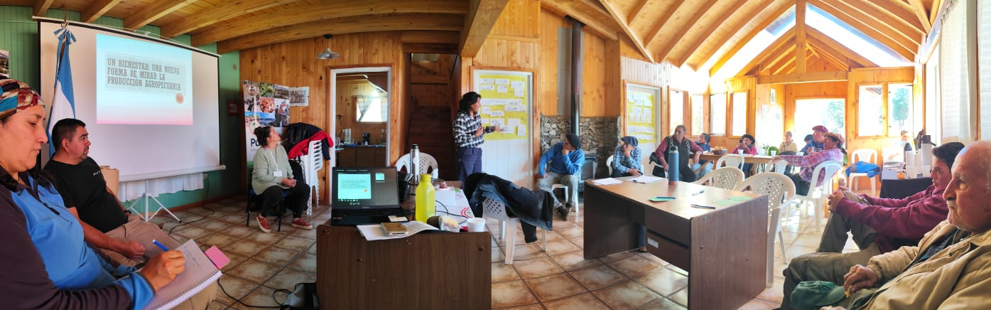 FONTAGRO impulsa el bienestar animal en la ganadería patagónica