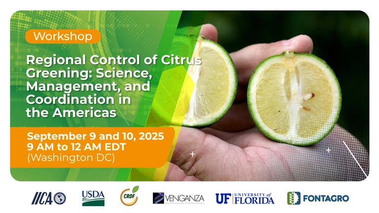 FONTAGRO Led a Workshop with Experts to Address the HLB Challenge in Latin America and the Caribbean