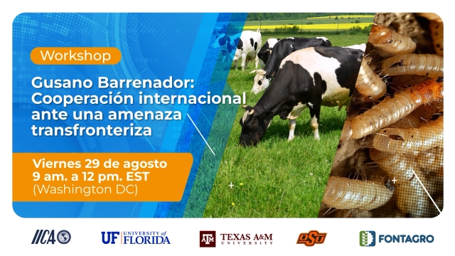 FONTAGRO promotes hemispheric cooperation in response to the re-emergence of the New World Screwworm