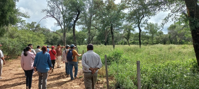 Livestock Innovation in the Chaco Salteño: Rotational Grazing and Forage Management