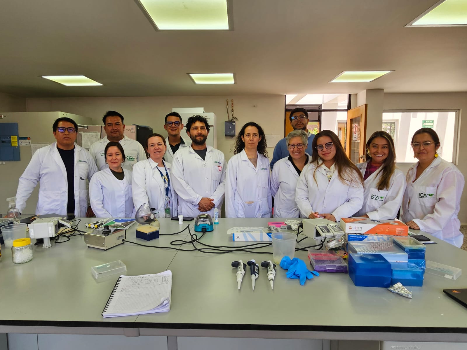 Regional course strengthens capacities for the detection of Potato Purple Top Complex