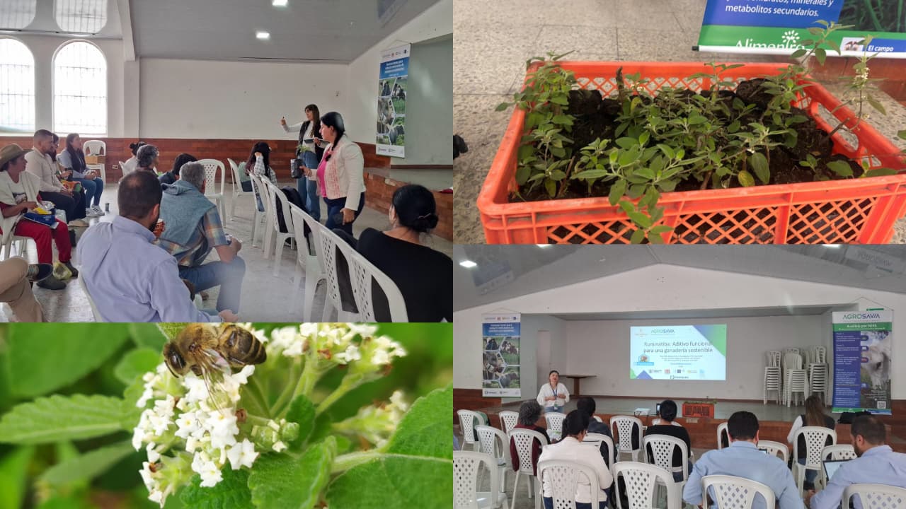 Workshop "Use of native oregano in functional additives for more sustainable livestock farming"