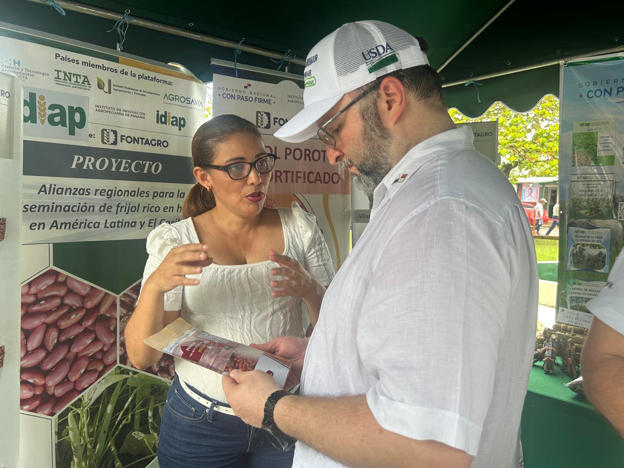 Frijol rico en hierro para fortalecimiento del agronegocio y la nutrición.