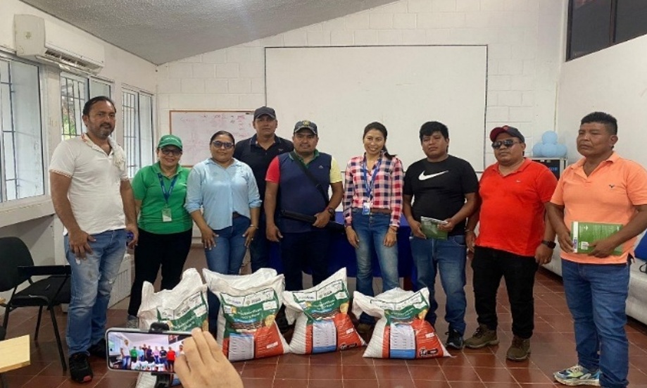 AGROSAVIA IMPULSA PRODUCCIÓN DE FRIJOL EN COMUNIDAD YUKPA