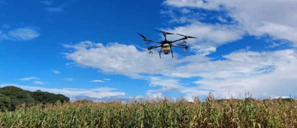 Innovación en el uso de drones para el control de Spodoptera spp. en el maíz en Costa Rica
